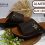 Men arabic sandals bulk